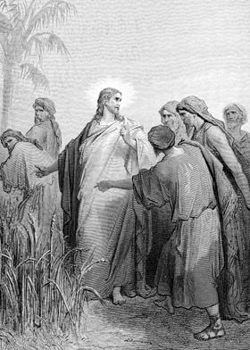 Disciples Plucking Corn