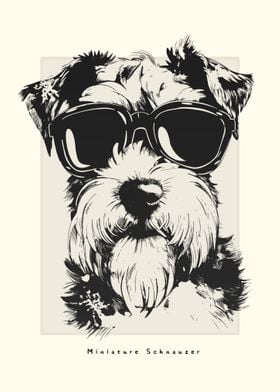 Miniature Schnauzer Sketch