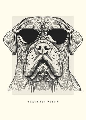 Neapolitan Mastiff Sketch