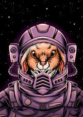 Astronaut Rabbit