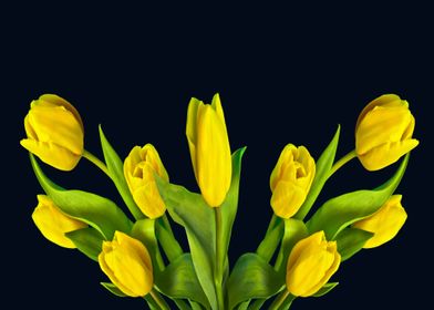 tulip yellow