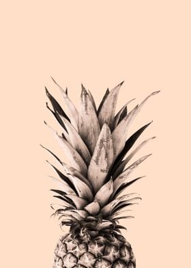 Pineapple art 3