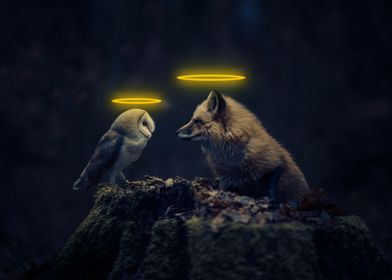 The Fox and Owl