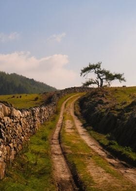 Scenic trail