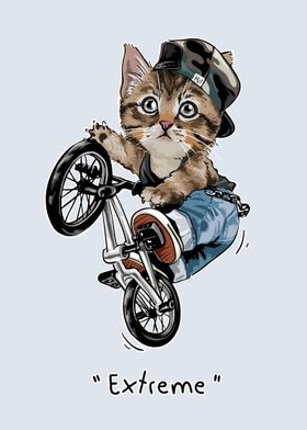 A cat that is on a bike