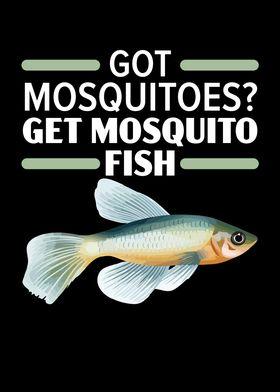 Mosquitofish Owner Fish