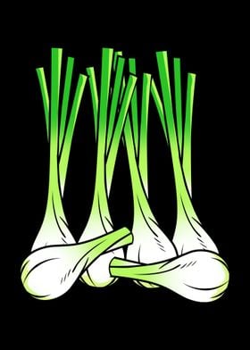 Spring Onion