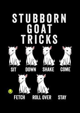 Stubborn Goat Tricks 