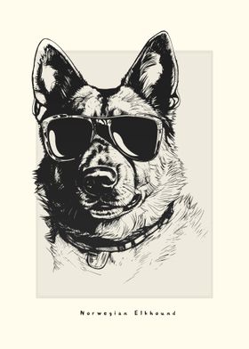 Norwegian Elkhound Sketch