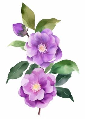 Camellias Flowers