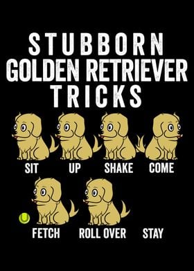 Golden Retriever Tricks