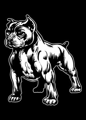 Bulldog