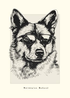 Norwegian Buhund Sketch