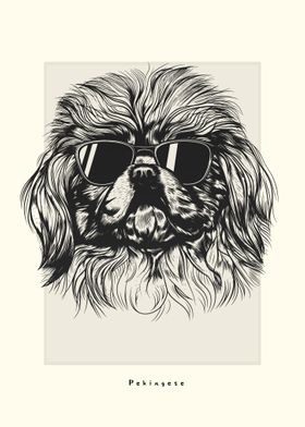 Pekingese Illustration