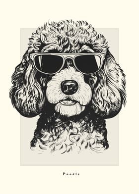 Poodle IIlustration