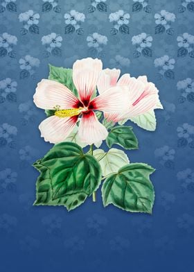 Vintage Marsh Hibiscus