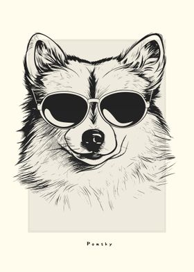 Pomsky Illustration