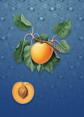 Vintage German Apricot