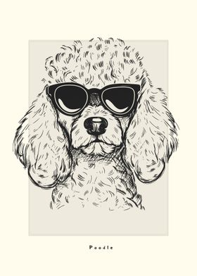 Poodle Illustration