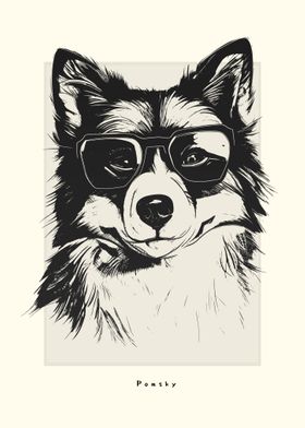 Pomsky IIllustration