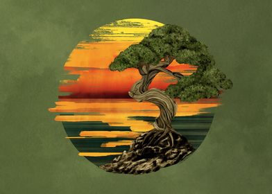 Bonsai Tree Sunset