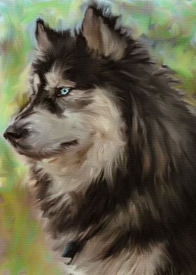 Wolf Painted Texture