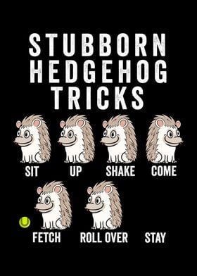 Stubborn Hedgehog Tricks 