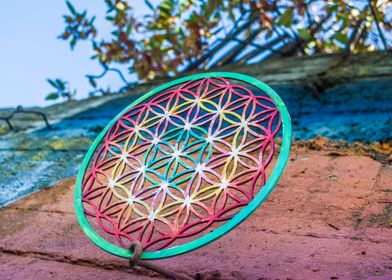 colorful Flower of life