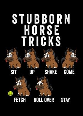 Stubborn Horse Tricks 