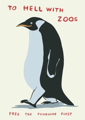 animal penguin bird