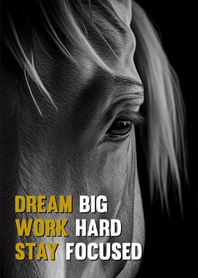 Horse Inspirational Quotes