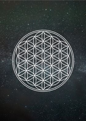Flower of Life over space
