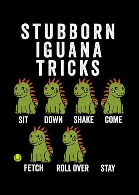 Stubborn Iguana Tricks 