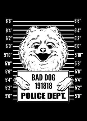 Mugshot Pomeranian Pun Mak