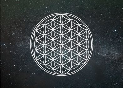 white flower of life