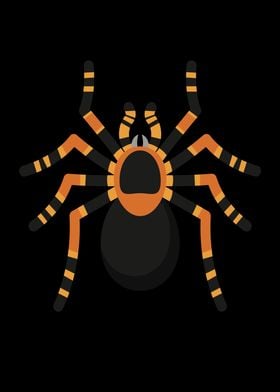 Spiders Spider Tarantula