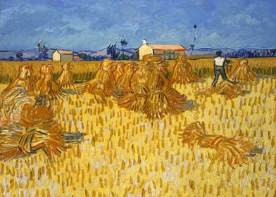 Corn Harvest in Provence