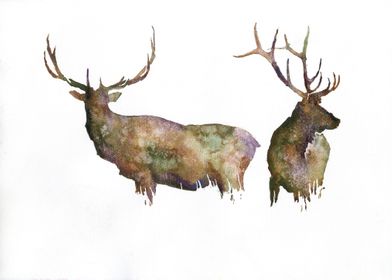 Deer watercolor painting