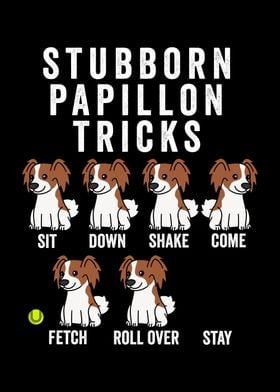 Brittany Spaniel Tricks