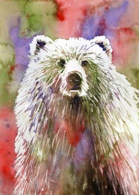 Grizzly Bear Watercolor 