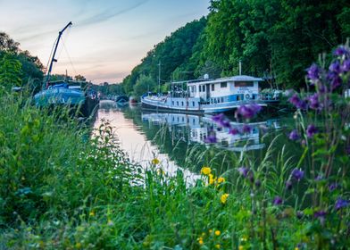 River and flowers