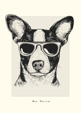 Rat Terrier Illustration