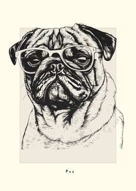 Pug Illustration