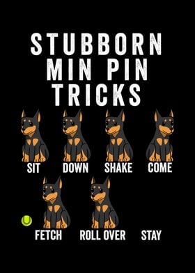 Miniature Pinscher Tricks