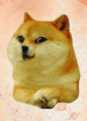 Doge meme