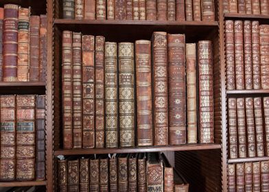 Old Bookshelf