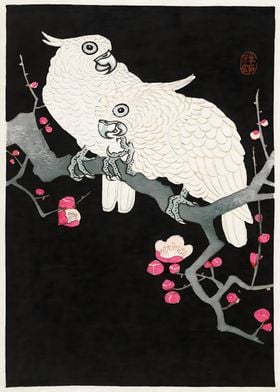 ockatoo and plum blossom