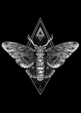 Occult Gothic Moth Art