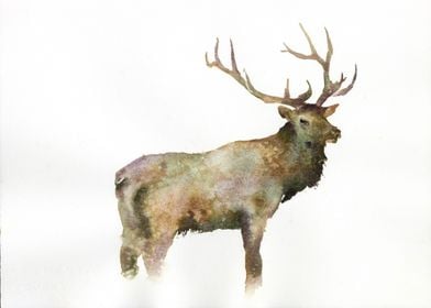 Elk watercolor painting