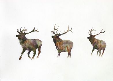 Deer running watercolor 